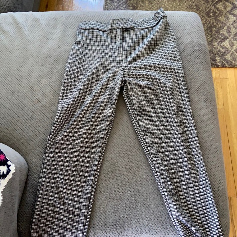 Dressy pants